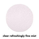 0526_SEO_PGRoseSettingSpray_Swatch.jpg