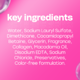 2BackofPack_d54b7216-c58c-4156-ba41-c51398d878fd.png