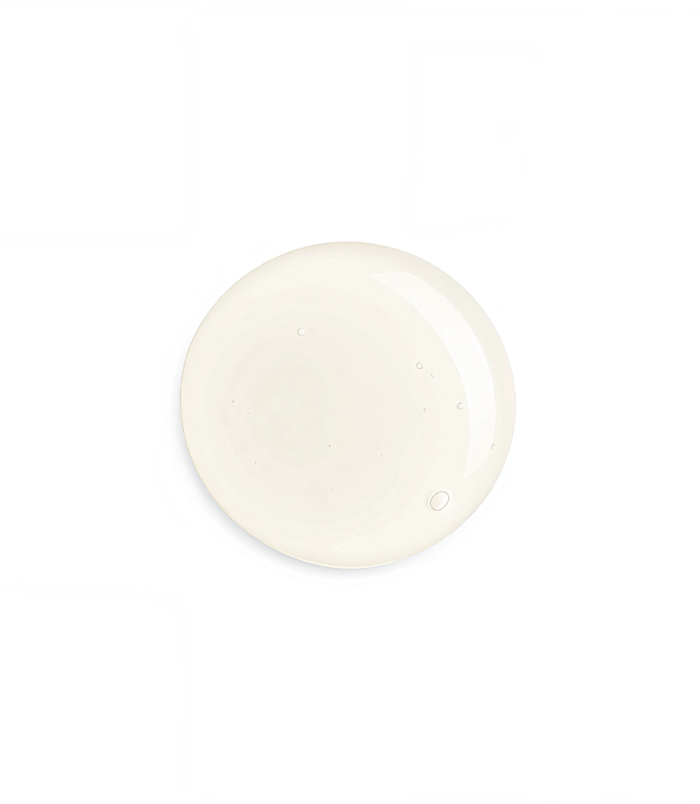 2_2_a241841b-5c6c-49d3-82c7-021c09489f08.png