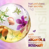 Ingredients_93d95206-ac27-42a3-9f90-7e1cf0dafd7f.jpg
