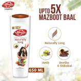 LifebuoyNaturallyLong650ml.png