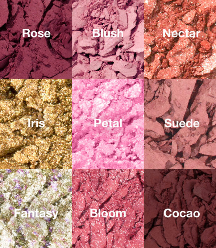 Rose_02_jpg.jpg